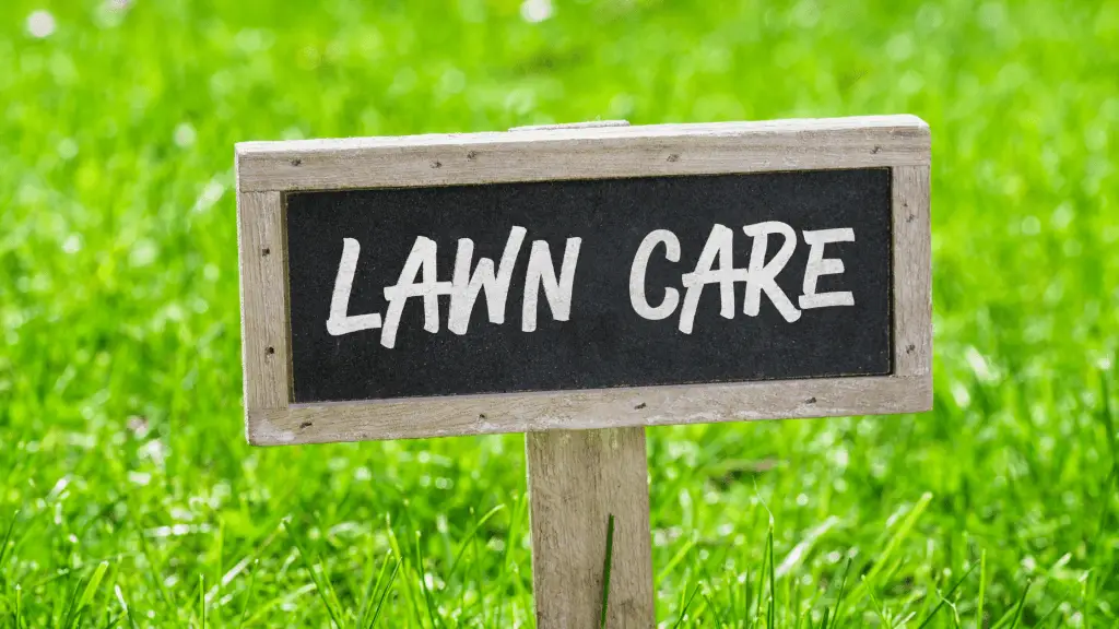 lawn care sign.  when to apply the best weed and feed