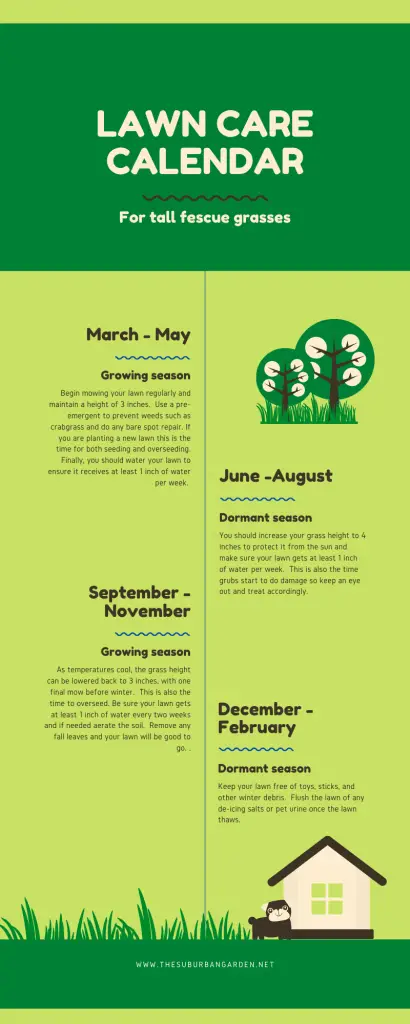 Best tall fescue grass seed care and maintenance calendar