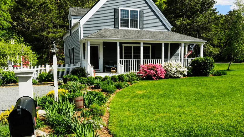 best grass seed for new england lawn