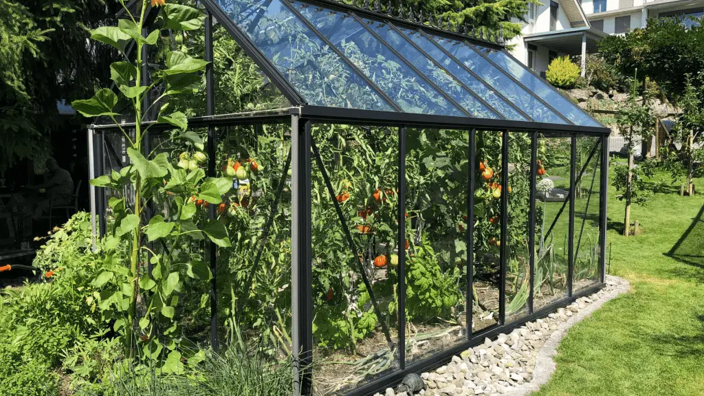 best small greenhouse for growing vegetables