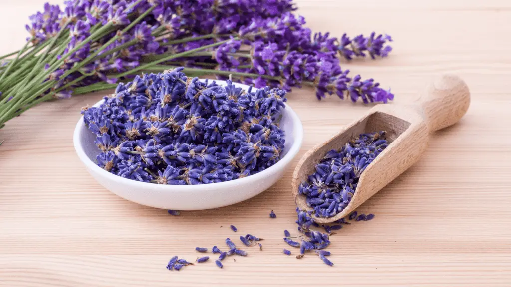 lavender flowers in a blow on a wooden table. Next to them is a scoop of lavender flowers and some whole lavender plants with stems