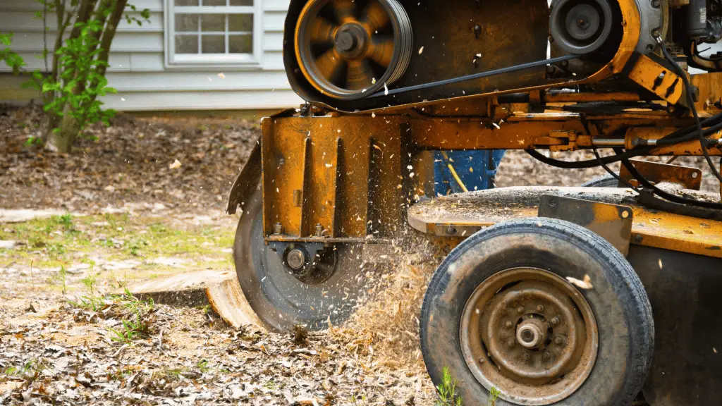 stump grinder removing a tree stump from a lawn as an alternative to using stump killer