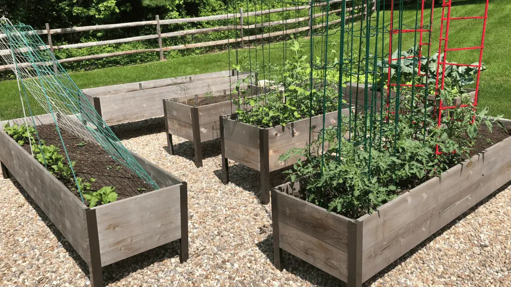 raised beds in a small space garden