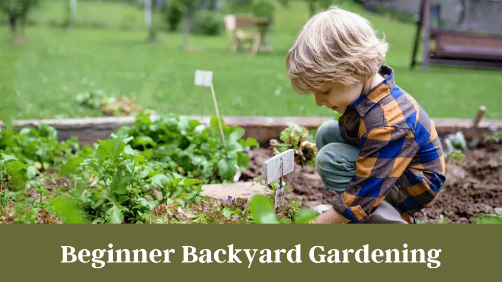 Child in a raised bed garden. Below is the text Beginner Backyard Garden